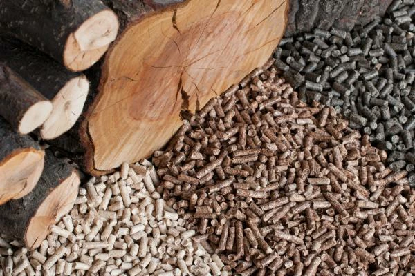 June 2023 Sees Significant Decline in Poland's Wood Pellets Export to $9.1M